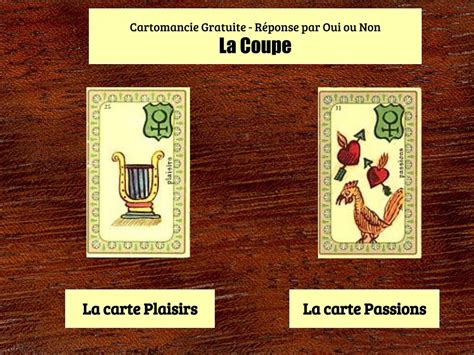 cartomancie oui non|Tarot Oui ou non : une réponse gratuite à votre。